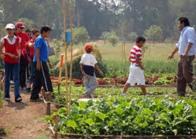 3ª Reunión de Educadores Ambientales