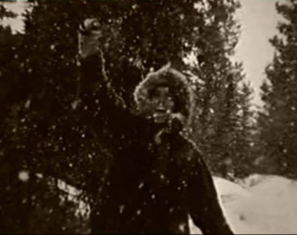 Death of Christopher Johnson McCandless