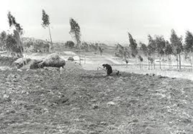 Ley de restitucion de tierras