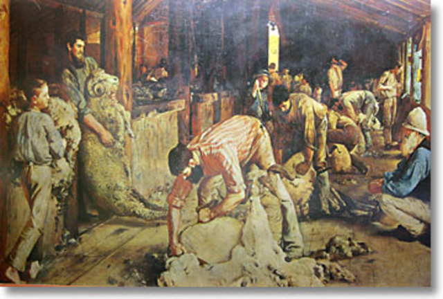 Tom Roberts completes the shearing of the rams