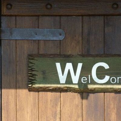 Timeline: Туалетная история