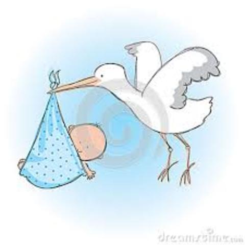 Carrie's husband was born