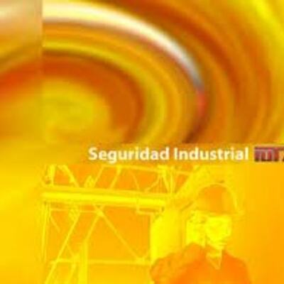 Timeline: SEGURIDAD INDUSTRIAL