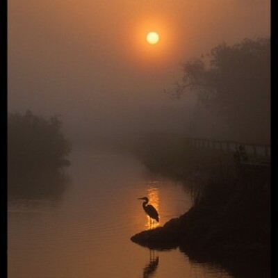 Timeline: Arte Moderno -Jessica Nuñez