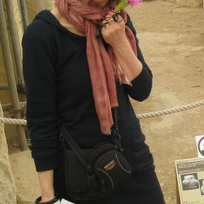 Timeline: Travelling to Inari course