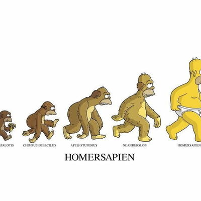 Timeline: evolucion del hombre