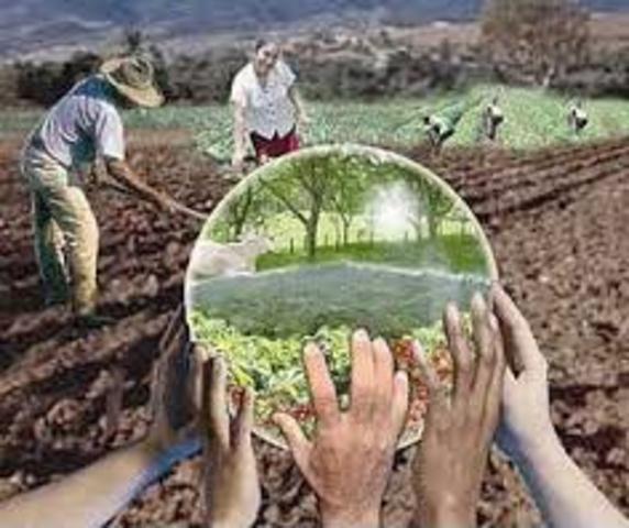 Seminario “¿es viable el Desarrollo sostenible en América Latina?: más allá del Informe Brundtland”