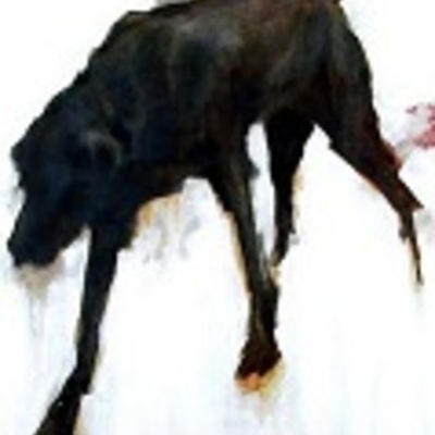 Timeline: (Katherine)_(G)_PSY315