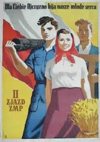 Social realism only