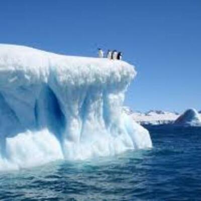 Timeline: Antarctica Explorers