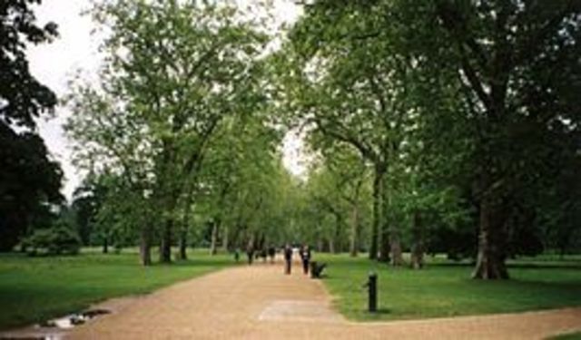 Hyde park