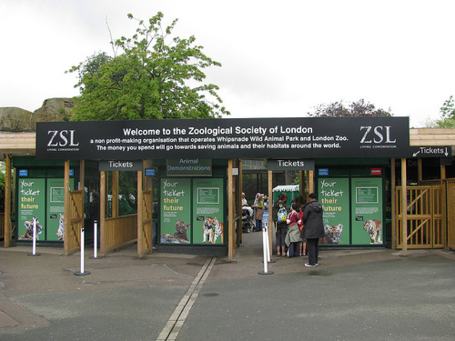 The London zoo