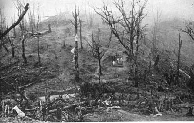 The Battle of Kohima