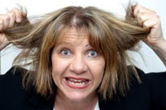 AP World History Exam