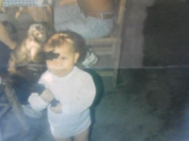 Esperiencia con animales