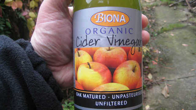 United States v. Ninety-Five Barrels (More or Less) Alleged Apple Cider Vinegar