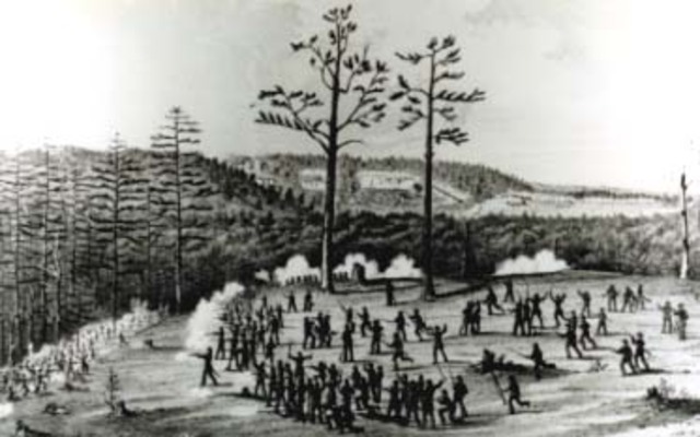 Battle: The battle camp of Wildcat