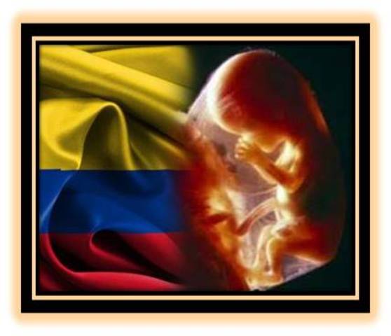 08 de mayo 2013  marcha en Bogota Colombia  en contra del aborto