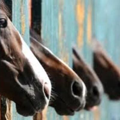 Timeline: Reading Log 2013