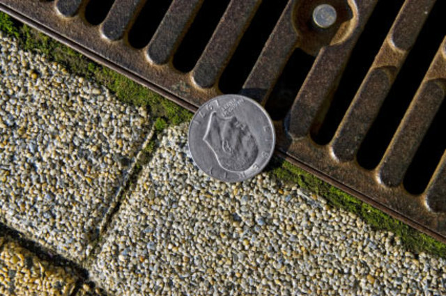 Lafeyette's BirthDay