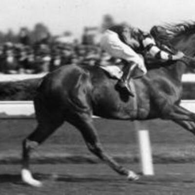 Timeline: Phar Lap Biography