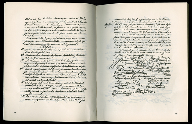 Additions to Plan of Guadalupe