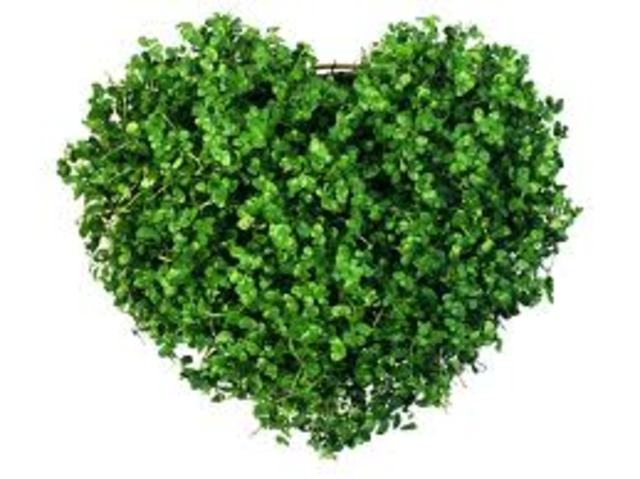 2º Congreso Iberoamericano de Educación Ambiental