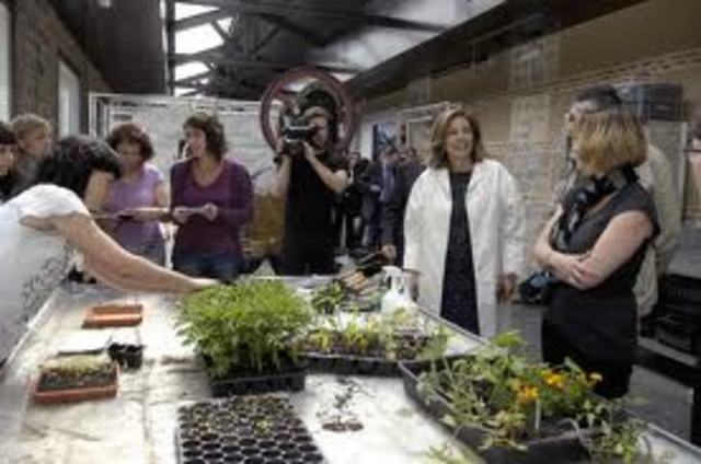 Primer Encuentro Nacional de Redes de Educadores Ambientales Michoacán, México