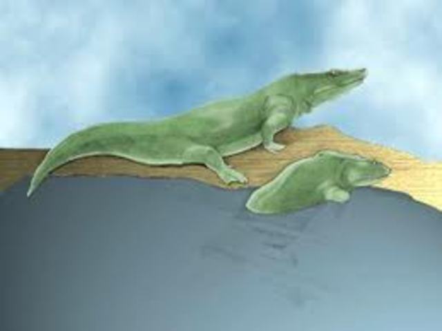 Amphibians Emerge From the Water 410 Million Years
