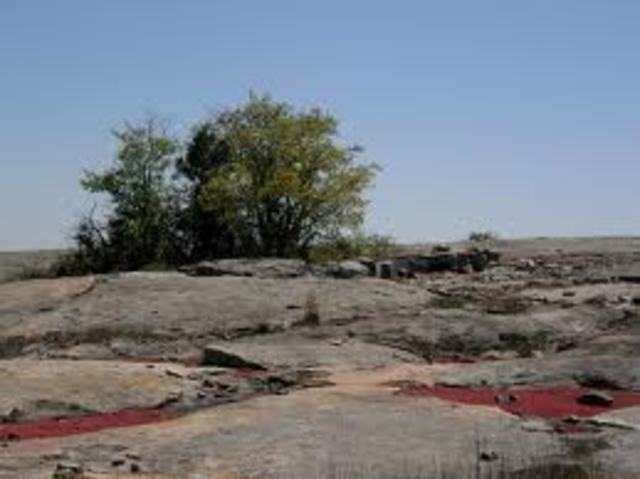 Plants Take Root on Land 435 million years