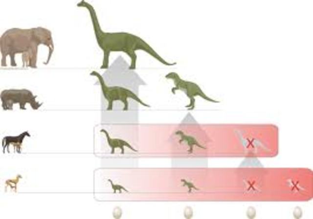 Mammals Fill Dinosaurs' Shoes (60 million years ago)