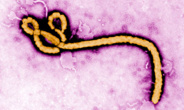 ebola outbreaks in sudan and zaire