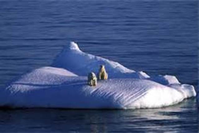 Extinction Estimation