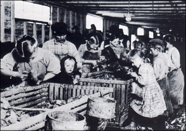 Child Labor Tax Case