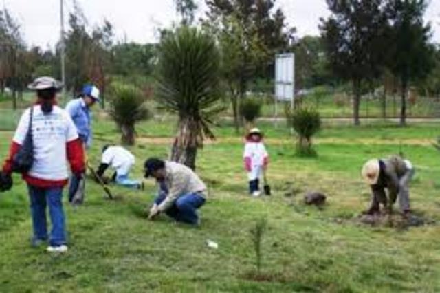 Creación del área de educación ambiental de la Dirección General de Concertación y Participación Ciudadana del Estado de México