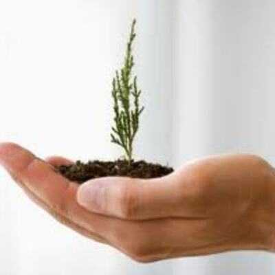 Timeline: EMPRENDIMIENTO