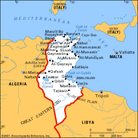 Arab Spring - Tunisia