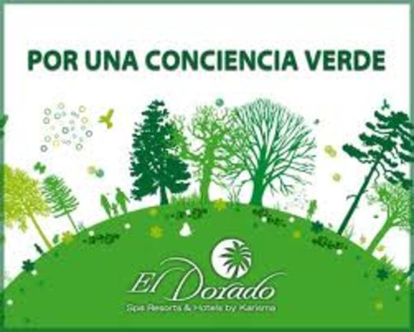 Se crea la Dirección	General de Educación Ambiental