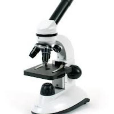 Timeline: The Microscope