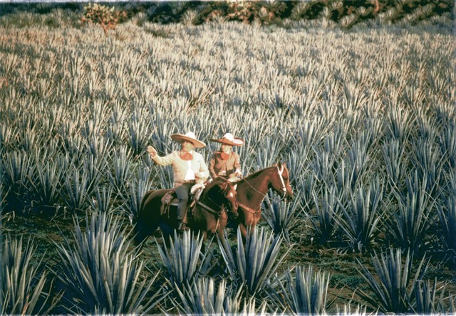 2º Congreso Iberoamericano de Educación Ambiental