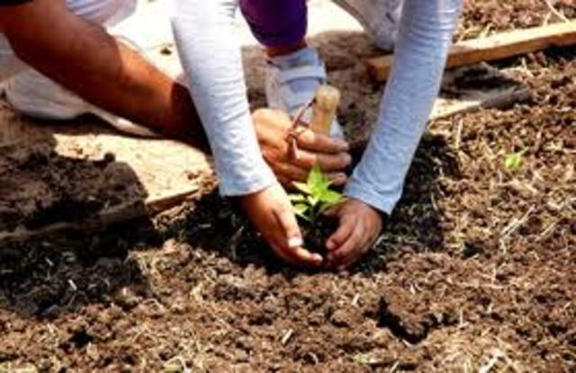 Foro Nacional de Educación Ambiental (Aguscalientes, Aguascalientes)