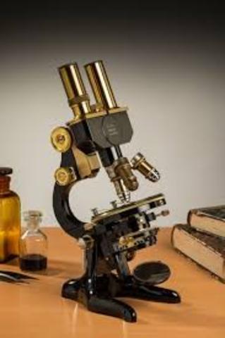 The Binocular System Was Created