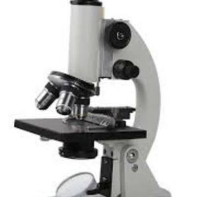 Timeline: History of the Microscope