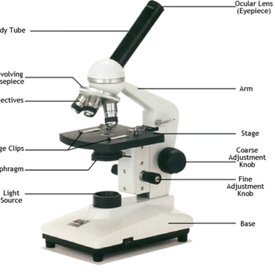 Timeline: The History of the Microscope