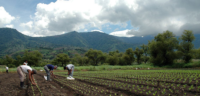Oil Production Starts