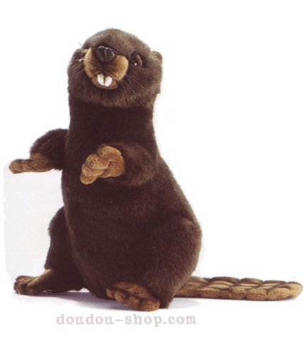 L'annee du castor dans les signes zodiacaux Koumaks