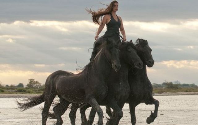 Spectacle "TransHumance"