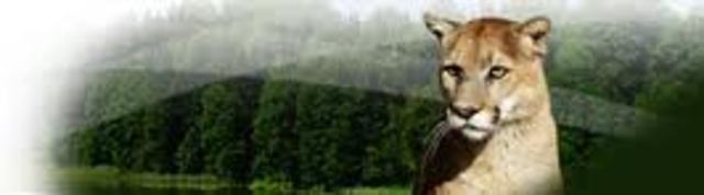 Decreto No. 46 de la LI Legislatura del Estado de México