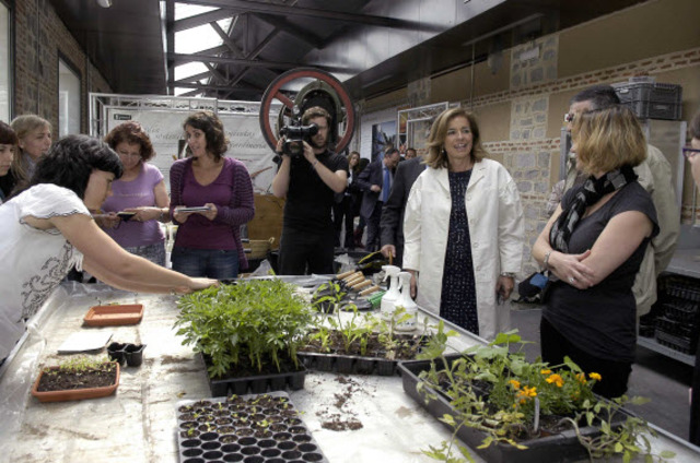 1ª Reunión de la Red de Educadores Ambientales de la Región Centro REARCEM