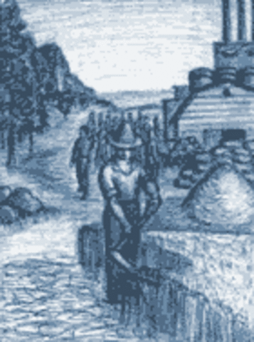 la maduracion del manejo de distribucion